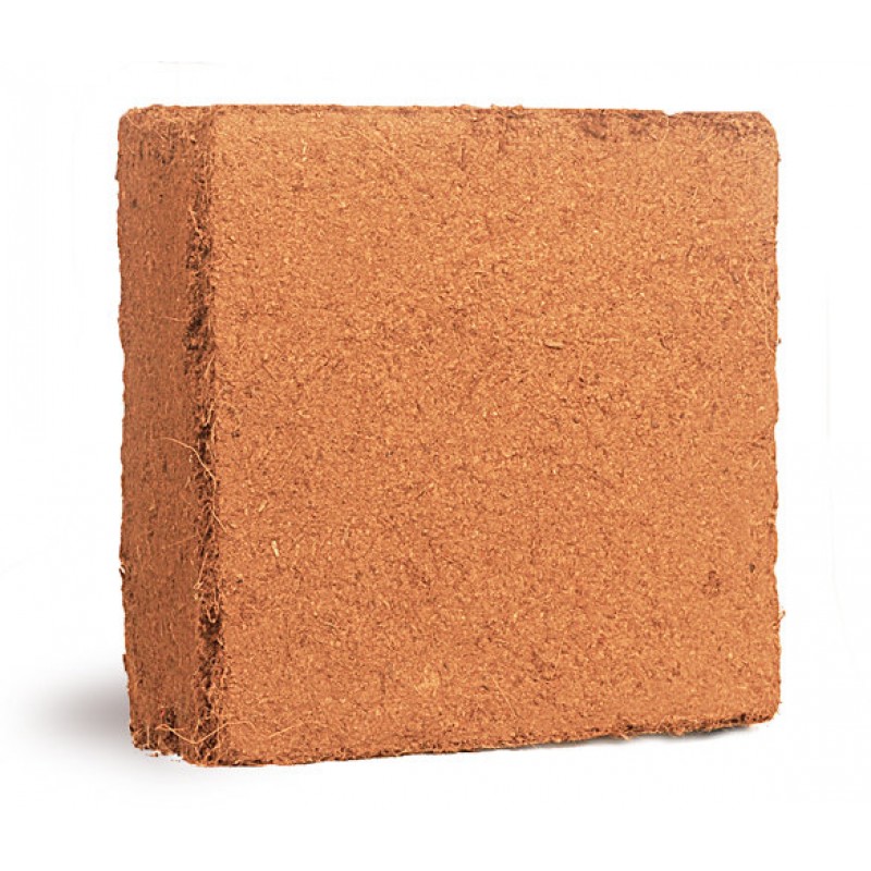 Pre-Treated & Buffered Coco Coir- 5 kg Block